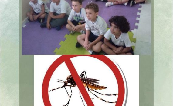 Vídeo educativo sobre Dengue – Pré II A