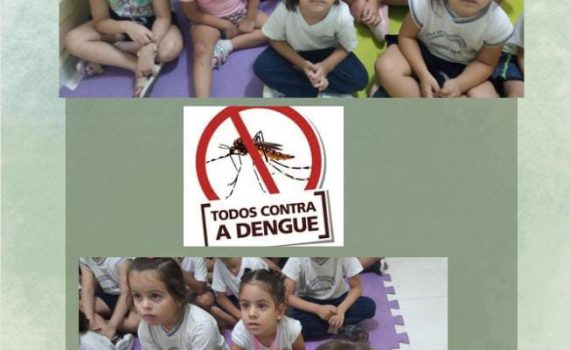 Vídeo educativo sobre Dengue – Pré I